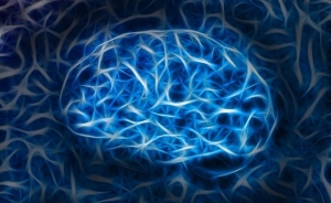 Dlaczego pamiętamy? Odkrywanie sekretów pamięci, aby zachować to, co ważne