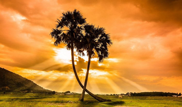 Travelplanet.pl majówka