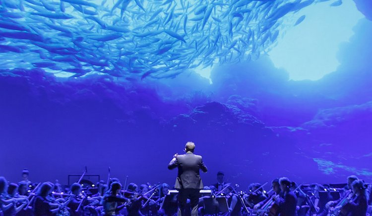 Visual Concert, Kraków Arena, marzec 2020