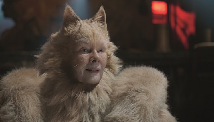 Judy Dench, Koty, film