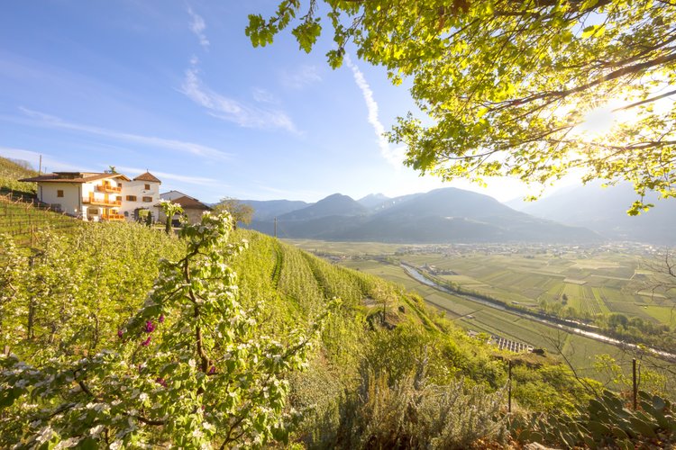 Roter Hahn, agroturystyka