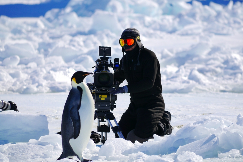 Marcin Dorociński, National Geographic, Wrogi świat