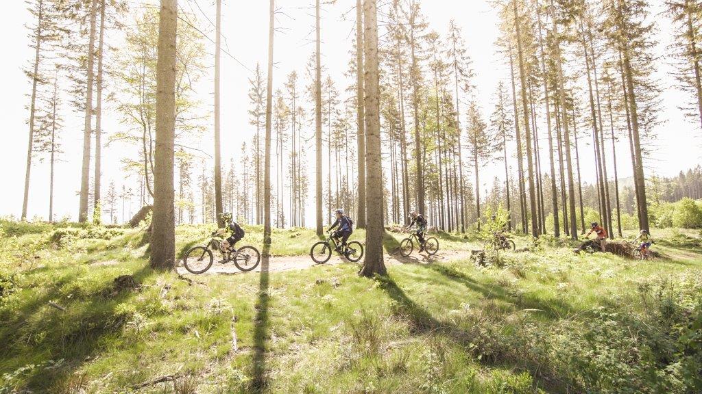 downhill park Kasina