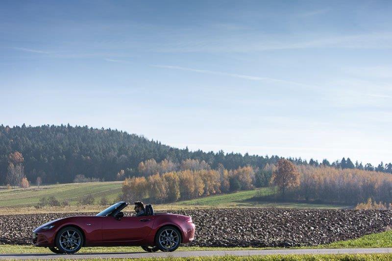 projekt slow road, Mazowsze