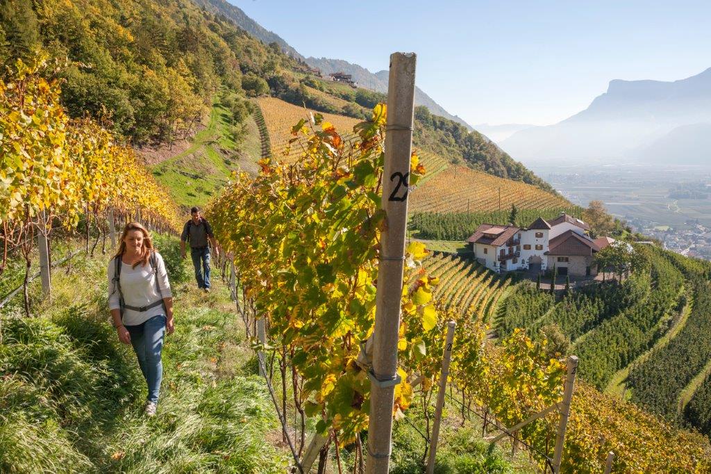 Tyrol, potrawy, Roter Hahn