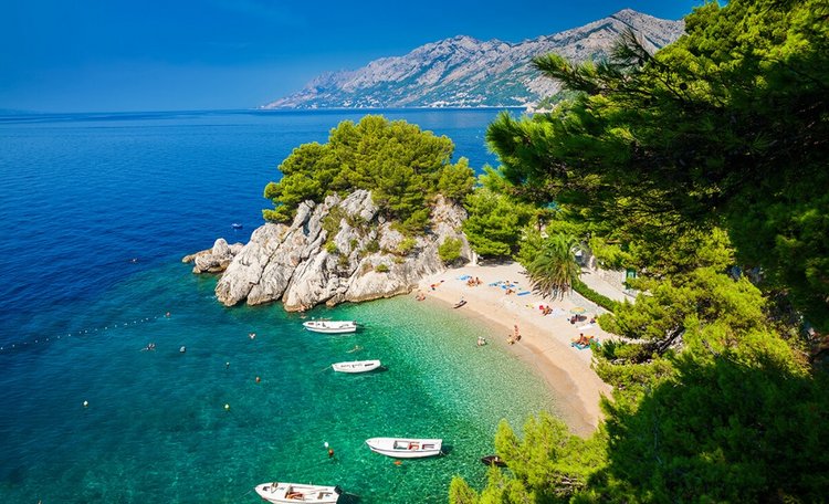 plaże, wakacje, wyszukiwarka