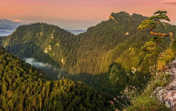 pomysły na wakacje w Polsce ciekawe miejsca
