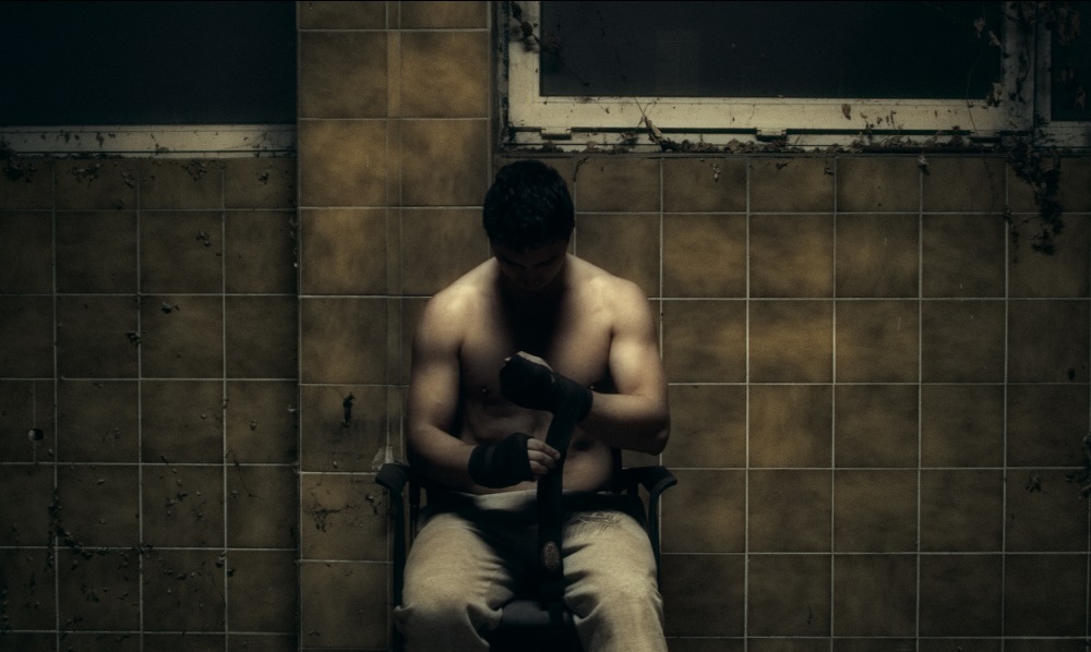 Serce do walki, film, Polska