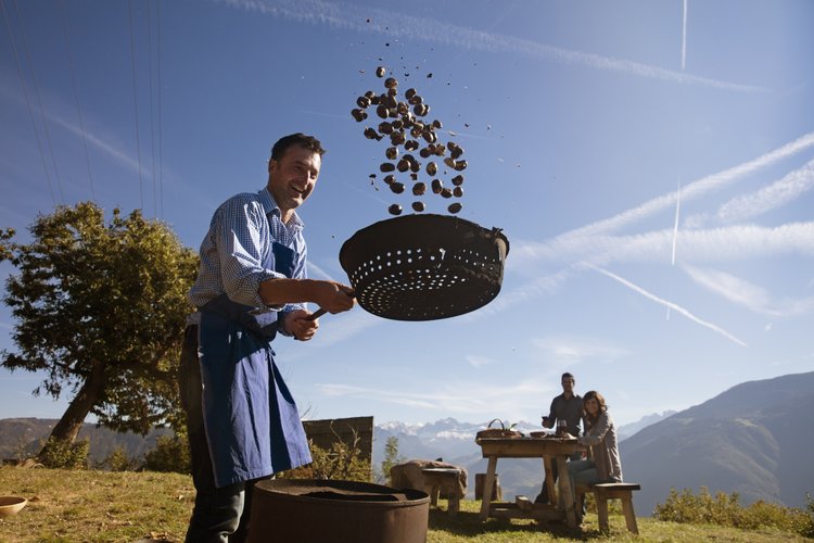 Roter Hahn, agroturystyka, kasztany