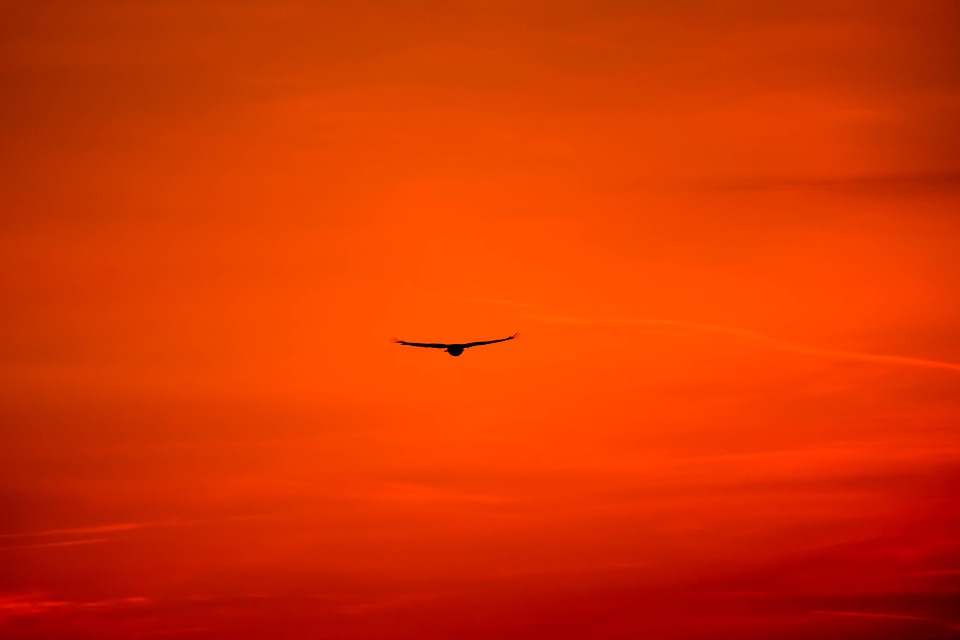 National Geographic, Europa z powietrza