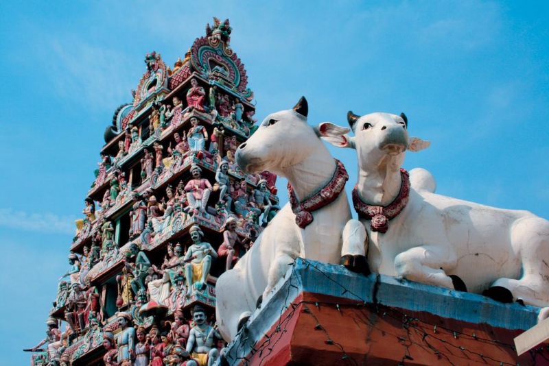 Costa, rejsy, jesień