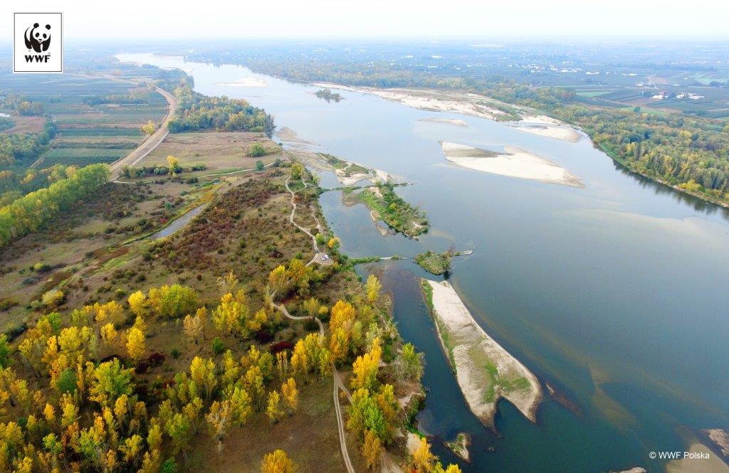 wwf rejs wisłą