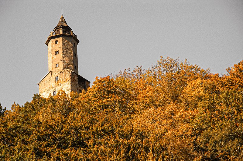 Grodno, zamek, historia